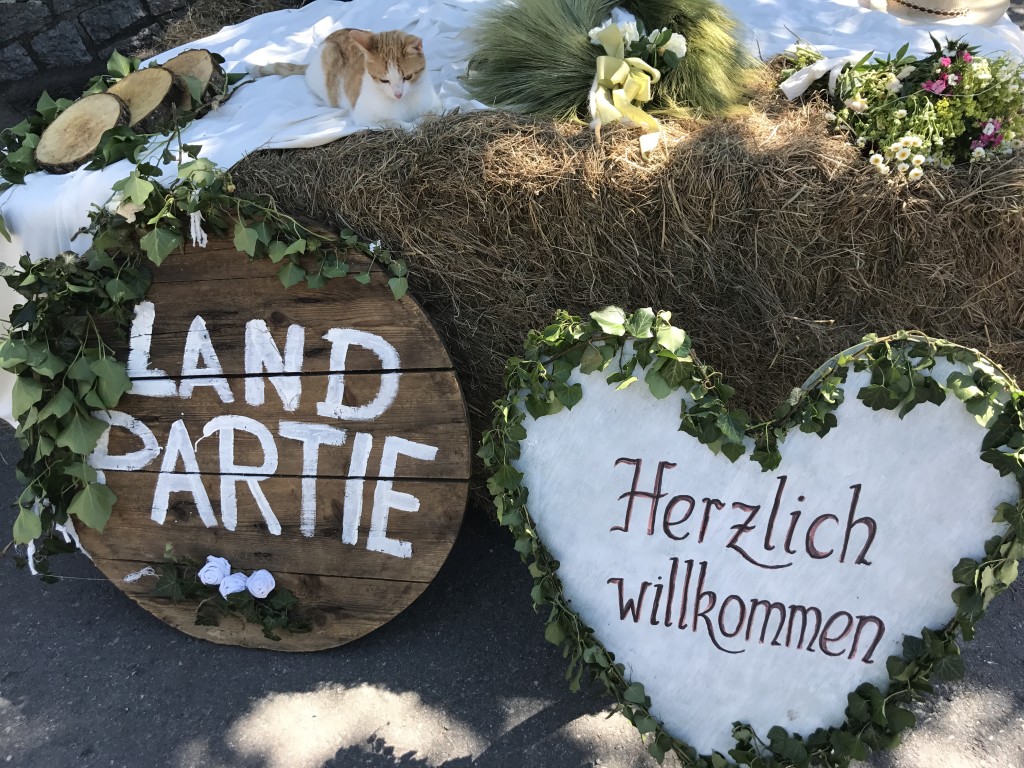 Foto 11.06.17, 11 36 59