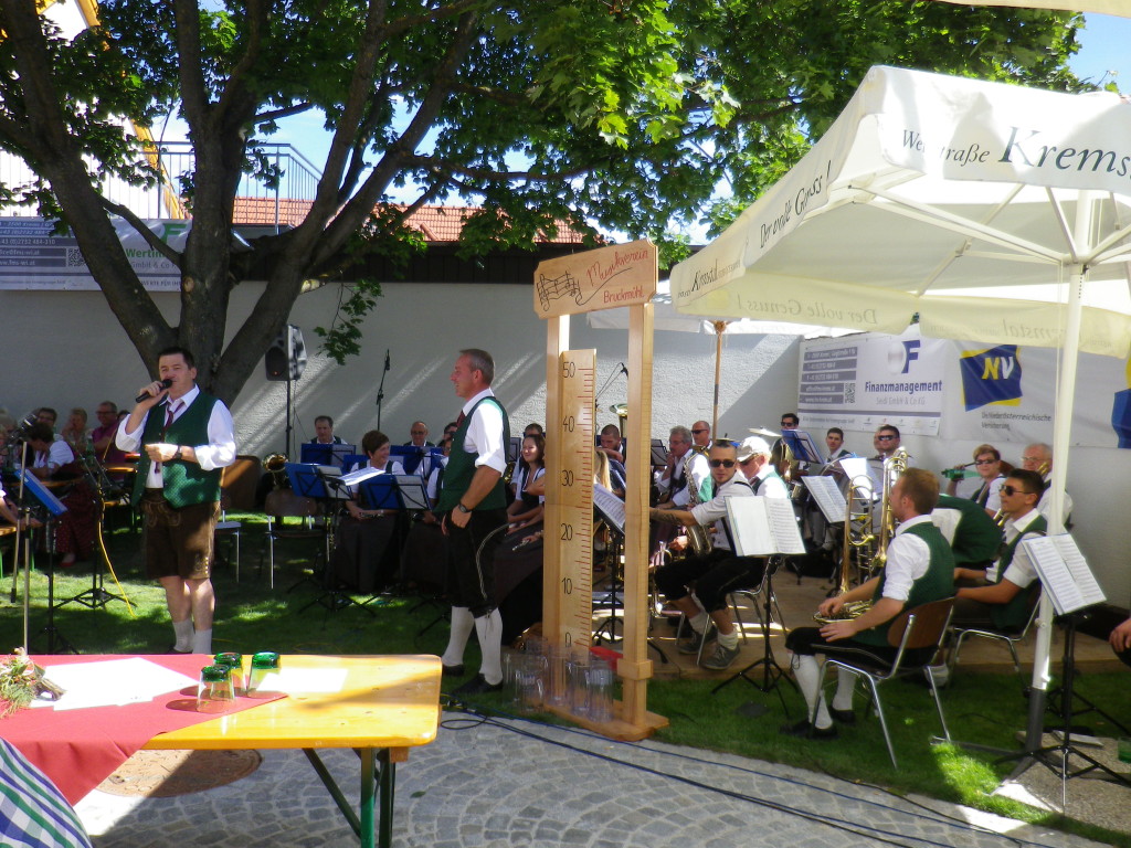 stratzingbild